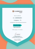 CAMBRIDGE EXAMS